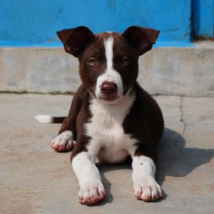 pexels-suhashanjar-18876483-1-scaled-e1764006471762